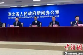 湖北：擦亮荆楚文化品牌 助推产业高质量发展图片