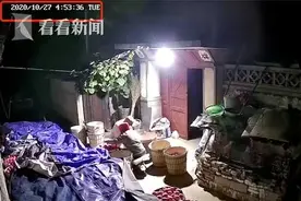 儿子通过监控看父母的一天：早上4点已经在干活图片