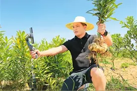 买生鲜，线上线下共同做旺市场图片