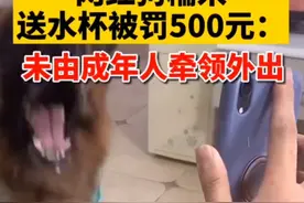 翻车了！网红狗糯米送水杯被罚500元：未由成年人牵领外出图片