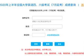2020年全国大学英语四六级CET考试成绩查询地址 四六级英语成绩查询入口图片