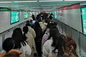 “教资”考试大热背后的真相：不为理想，只为后路图片