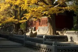 品读历史 感受“多彩”时光里的锦绣太原图片