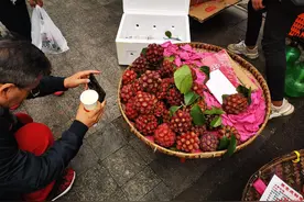 成都太古里附近“神奇水果”真的很神奇？专家这样说图片