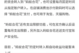 支付宝上线蚂蚁合花图片