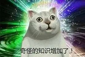 广州动物园老虎“比猫还瘦”？真相来了图片