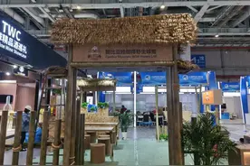 赞比亚原始森林，“杀人蜂”凶猛，罐罐蜂蜜却成疫情中宝贵的出路图片