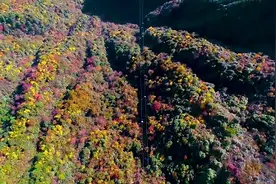 秋到羊狮慕 层林尽染醉游人视频封面