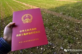 司法走基层 | 悬在空中的“命根子”！！！图片