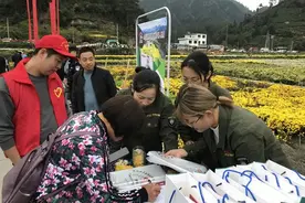 中央网媒看安徽 | 休宁：菊黄“食”节 “香”约蓝田图片