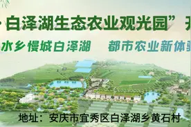 这里找答案，安庆必看买房秘籍！绿地新里城重新定义安庆楼市风向！图片