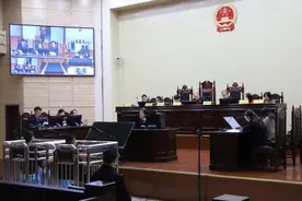 500元买红腿陆龟还邮寄？攀枝花2人被提起公诉图片