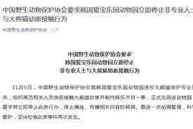 中国野生动物保护协会要求韩国爱宝乐园动物园立即停止非专业人士与大熊猫幼崽接触行为图片