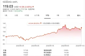 苹果CEO库克或面临诉讼 被指隐瞒中国需求下滑情况致股东巨亏图片