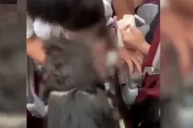 幼童飞行途中被葡萄干卡喉咙 空姐跪地紧急施救：一定要救活他图片