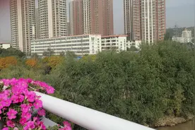 布菌飘进我的家：兰州布病感染者这一年图片