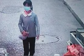 11岁女童与母亲发生争吵离家出走14天，家人担心其“被人控制”图片