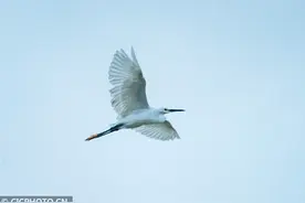 海南琼海：风和景明图片