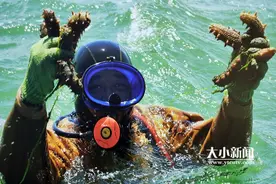 “云”上看烟台：海参变“魔术”100余款海产品大不同图片