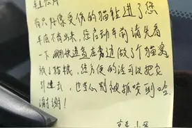 杭州车主一大早被贴条！一看内容，这样的快递小哥也太暖了图片