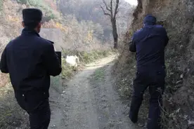 藏獒发狂连咬数人 卢氏公安果断击毙图片