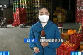 近半数商户停业！韩国柿子减产近四成，柿饼如何定价成难题图片