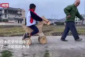 别人家的爷爷！木匠爷爷给孙子定制会跑的木马视频封面