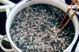 年轻人储蓄理财热度上涨，板蓝根泡方便面成功“出圈”图片