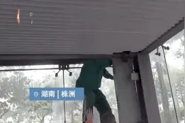 我都佩服我自己图片