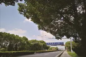 “进博会”场馆附近、修建于九十多年前却鲜有人知它的故事：沪青平公路的前世今生图片