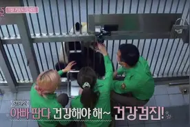 韩国动物园、艺人方回应"违规接触熊猫幼崽":防疫严格 节目停播图片