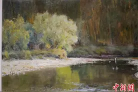 澳大利亚华裔画家杨鸣山百余幅写生风景油画长沙展出图片