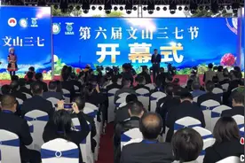 云南文山名至实归“中国三七之乡”“三七节”已办六届成效斐然图片
