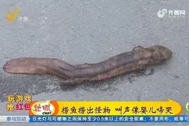 菏泽大爷河里捞出怪物，长70多公分叫声像婴儿啼哭，村民：没见过视频封面