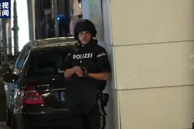 维也纳恐袭后续：奥地利自查监狱体系图片
