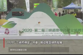 2020“三峡药博会”开幕 推动库区绿色发展视频封面