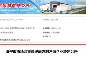速看！海宁204家企业强制注销图片