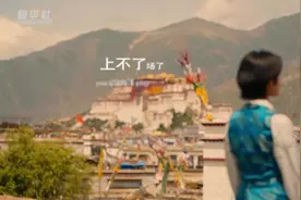 男兵女帅——一个藏族女孩的突围图片