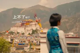 男兵女帅——一个藏族女孩的突围图片