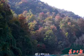 秋未尽，登高望远看秋山图片
