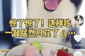 宠物吃播逐渐兴起 猎奇视频吸引流量 大胃王凉凉后宠物被迫“营业”？图片