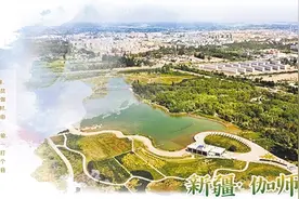 新疆伽师：多维度精准施策促脱贫图片