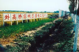 从“一支口红”到“共享仓库”，外高桥的“门”连着世界与中国图片