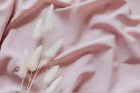 一课译词：化干戈为玉帛图片