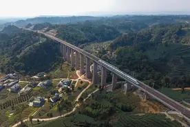 每日一词∣ 川藏铁路 Sichuan-Tibet Railway图片