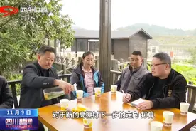 四川新闻丨绵阳三台县：“合村并镇”合出新动能图片