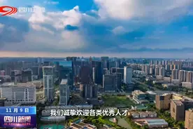四川新闻丨上百家单位西安揽才 千份简历带来高质量人才图片