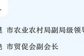 2020中国国际农业机械展览会将于11月13日-15日在青岛举办图片