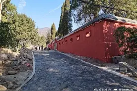泰安虎山公园新“儿童乐园”开放，动物园鸟笼今后将爬满浪漫紫藤图片