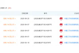 被申请破产的小霸王：多次被列为老赖，背后投资方陷欠款风波图片